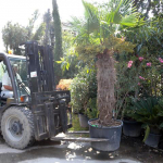 Bolzoni Auramo: Green fingers for your flowers and plants handling