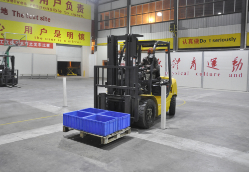 Ruyi Held a Ping-pong Match