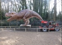 Manitou lifts dinosaurs and tigers at Drayton Park