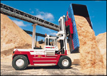 Svetruck 30120-46 30T Bulk Material Tiltering Truck 30120-46