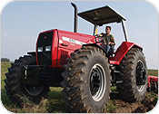 Massey Ferguson Diesel Tractor MF600