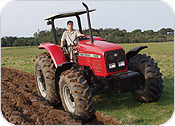Massey Ferguson Diesel Tractor MF5300