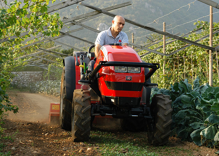 Massey Ferguson Diesel Tractor MF2400