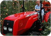 Massey Ferguson Diesel Tractor MF3400