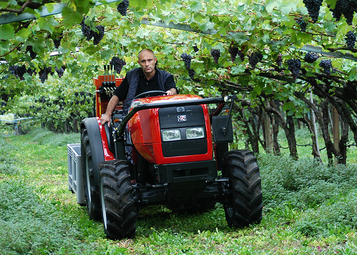 Massey Ferguson Diesel Tractor MF3400