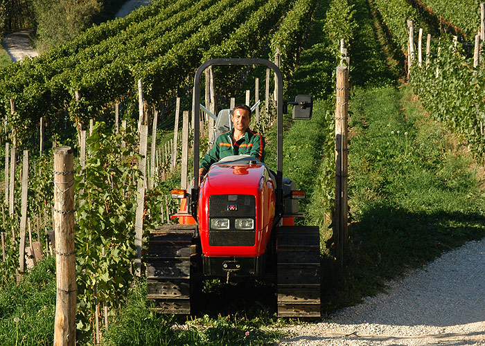 Massey Ferguson Diesel Tractor MF3400C